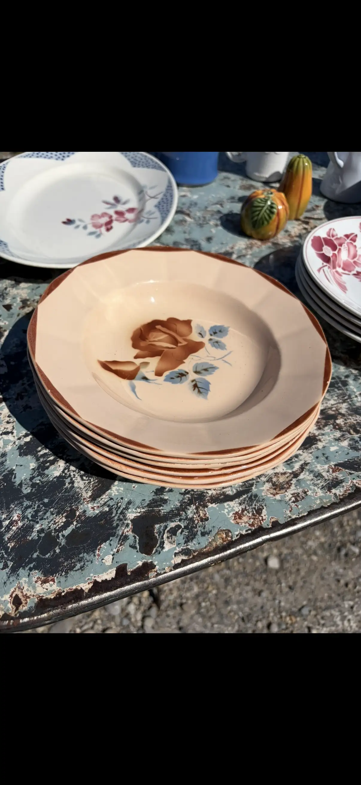 6 assiettes à soupe Digoin